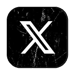 公式X